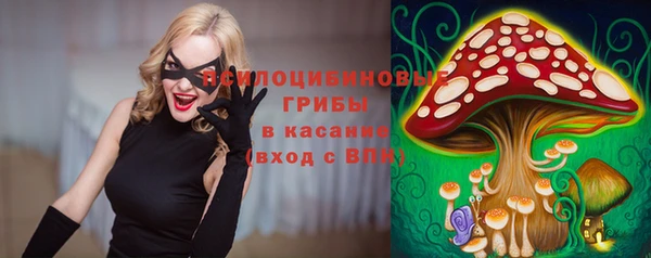 соль ск Белоозёрский