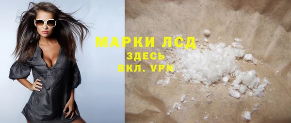 индика Беломорск