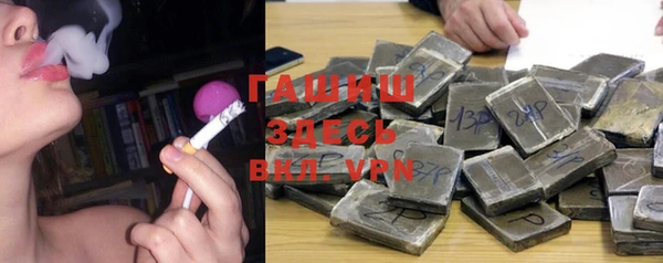 индика Беломорск