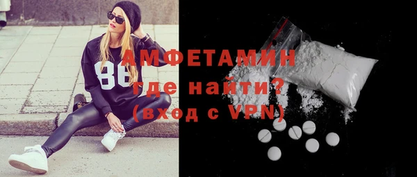 индика Беломорск