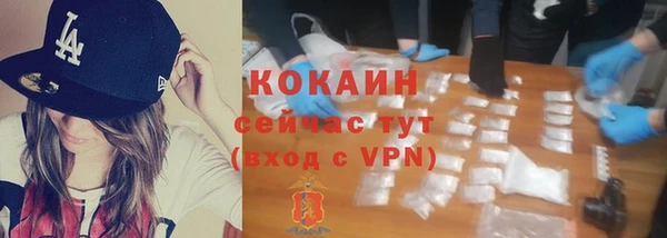 индика Беломорск