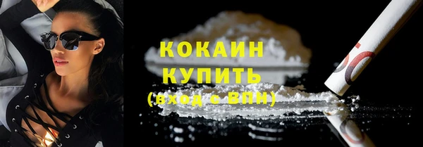 индика Беломорск