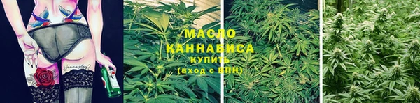индика Беломорск