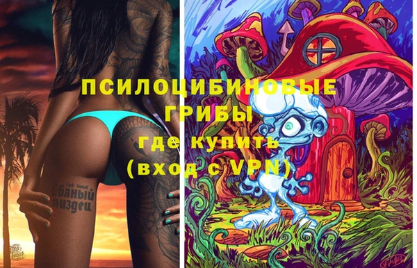 марки nbome Белокуриха