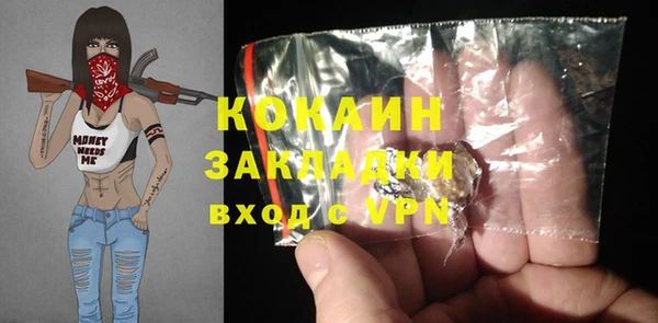 индика Беломорск