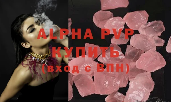 индика Беломорск