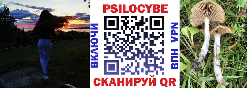 цены   Верхний Тагил  Псилоцибиновые грибы Cubensis 